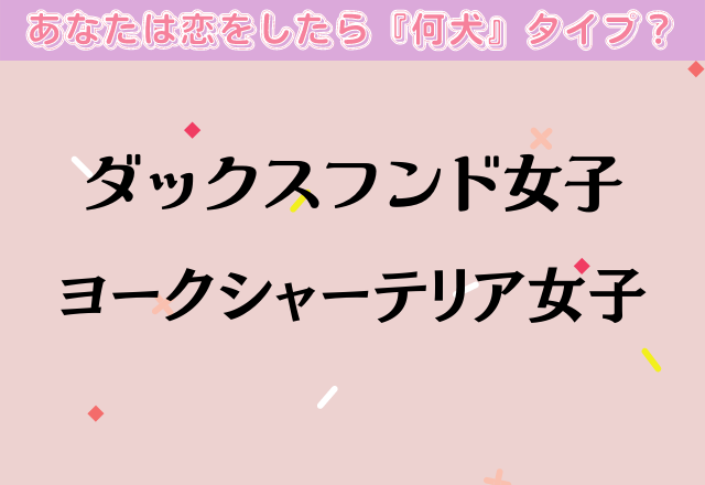 【ダックスフンド女子・ヨークシャーテリア女子】あなたの恋愛傾向は？