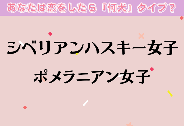 【シベリアンハスキー女子・ポメラニアン女子】あなたの恋愛傾向は？