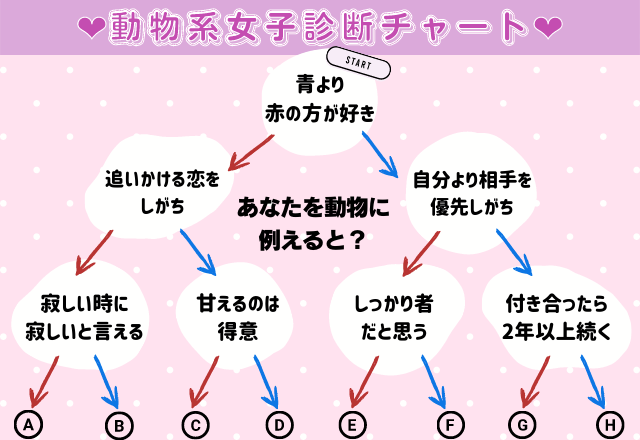 ラッコ系女子は依存傾向がある…？！あなたの動物女子タイプは？