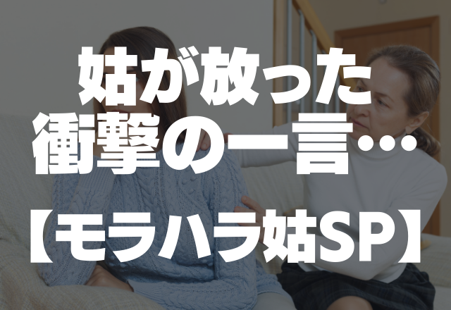 今まで一回もお返しくれてないのに…？姑が放った衝撃の一言【モラハラ姑SP】