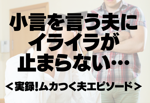 「お前は本当に適当だな～」ネチネチ小言を言う夫にイライラが止まらない…＜実録！ムカつく夫エピソード＞