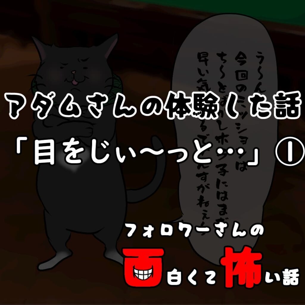 【＃1】遠くから見ているだけ…近づいてはいけない…今回のミッションはまだまだ難しいものだった…→目をじぃ～っと…