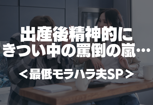 「昼間は寝てばっかで、家事ができていない」出産後精神的にきつい中の罵倒の嵐…＜最低モラハラ夫SP＞