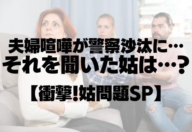 夫婦喧嘩が警察沙汰に…それを聞いた姑は「なんだぁ大事かと～」＜衝撃！姑問題SP＞