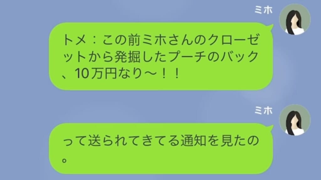 消えたブランドバッグ…義母「嫁のバッグ、10万円なり～！」夫と共謀して、嫁の私物を”勝手に”売っていた！？→夫のスマホを見て仰天！！