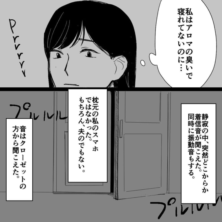 【深夜にクローゼットから着信音…】妻「心当たりあるんでしょう？」浮気の”証拠”をつかみたい妻→クローゼットの”予想外の光景”に唖然…