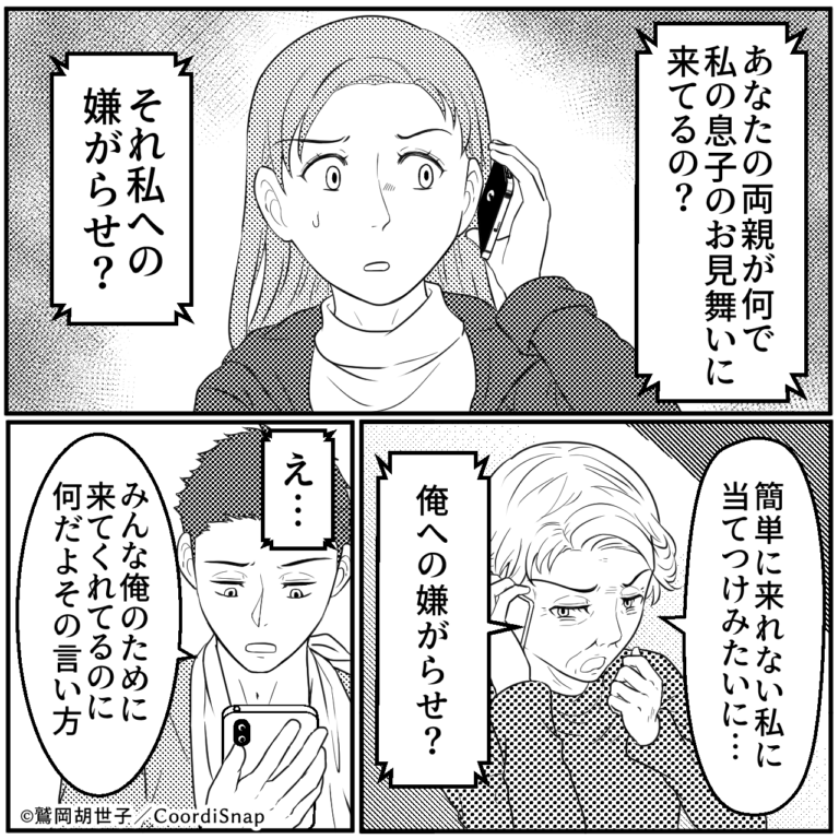 義母「私への嫌がらせ！？」1本の電話から”謎の言いがかり”が始まり…私の両親にまで！？⇒夫の『正論すぎる一喝』で義母を黙らせる！！