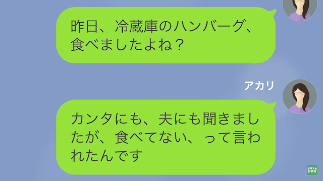 妻「冷蔵庫の”ハンバーグ”食べました？」家事代行「あなたの息子がいいって…」だが次の瞬間⇒「お腹が痛い…」衝撃的な真相が…？