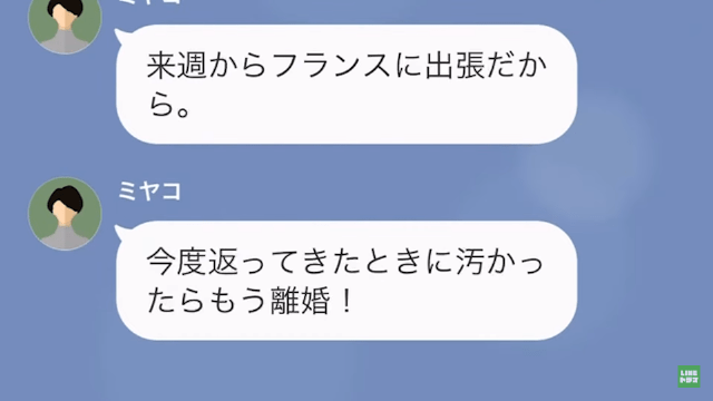 【LINE】海外出張と聞いていたのに、現地で浮気していた妻＃2