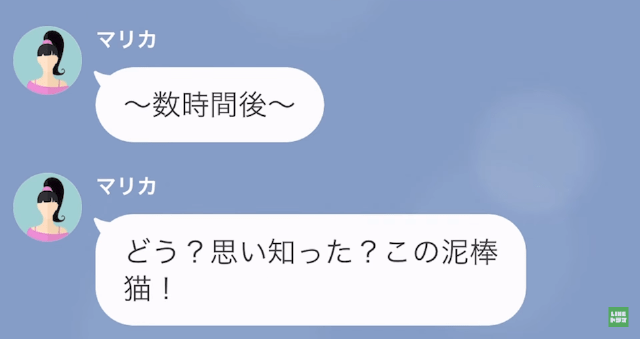 兄の婚約者「この泥棒猫！思い知れ」私「え？」次の瞬間⇒病院で目覚める事態に…？