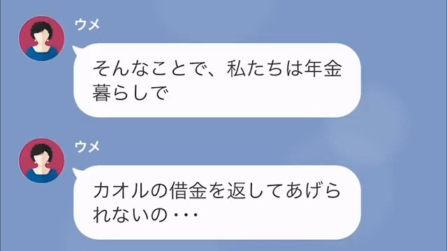 【LINE】義妹の慰謝料を払うように言う夫＃8