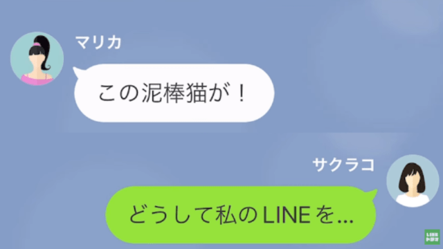 兄の婚約者「恥を知れ！泥棒猫！」妹「は…？」だが次の瞬間⇒ある【勘違い】が…地獄の結末に！？