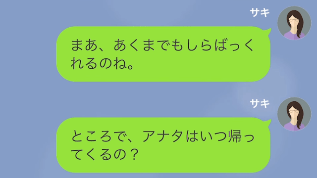 【LINE】自宅で浮気した夫＃13